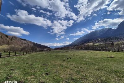 Teren de 2500 mp, în Plaiul Foii