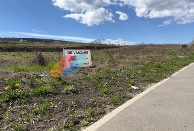Teren Construcții extravilan de 2900 mp, în Iris - 1