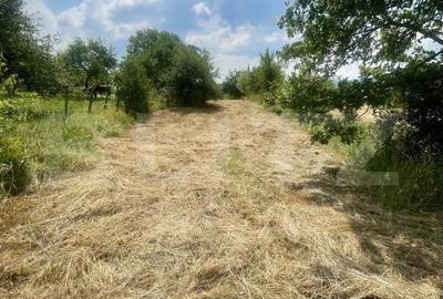 Teren de 3200 mp, în Budacu de Jos - 5