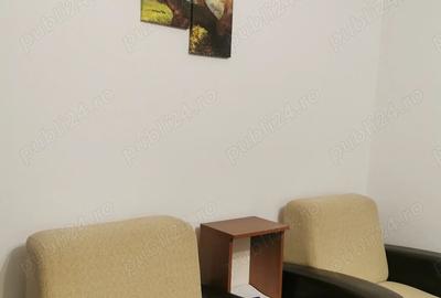 Apartament cu 2 camere semidecomandat în Brazda lui Novac - 7