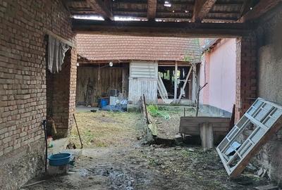 Casă cu Teren 1129 Mp în Berliște - 7