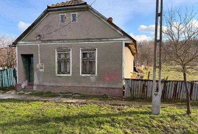 Teren Construcții intravilan de 3424 mp, în Cornești - 11