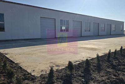 Spațiu industrial, de 500 mp, în Progresul