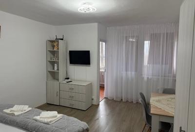Garsonieră semidecomandată, mobilată în Brazda lui Novac - 3