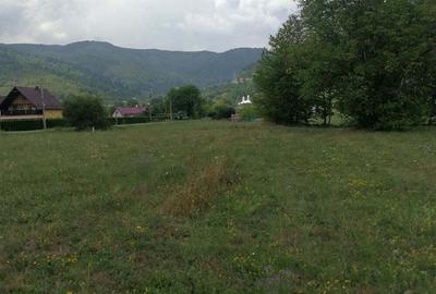 Teren în Stejaru (Pângărați) - 8