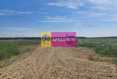 Teren Construcții intravilan de 528 mp, în Gulia - 3