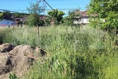 Casă cu 2 camere cu Teren 3750 Mp în Ceanu Mare