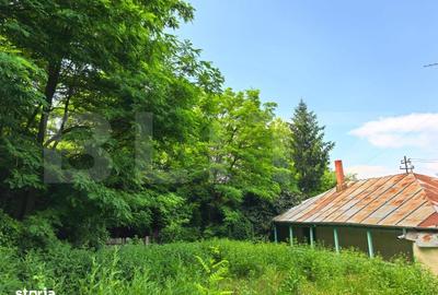 Casă cu 4 camere cu Teren 3000 Mp în Răducăneni
