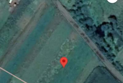 Teren de 2000 mp, în Pătrăuți - 5