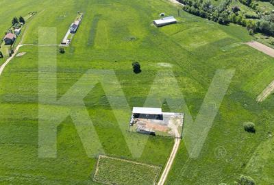 Teren agricol extravilan de 4981 mp, în Gura Râului - 5