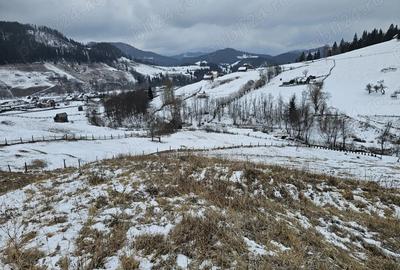 Teren de 12066 mp, în Breaza - 5