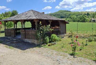 Casă cu 4 camere în Cornești - 1