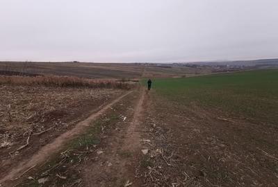 Teren agricol intravilan în Periferie - 7