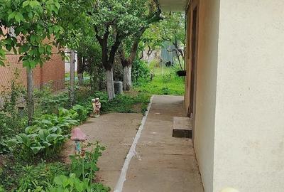 Casă cu 3 camere cu Teren 1000 Mp în Vânători - 6