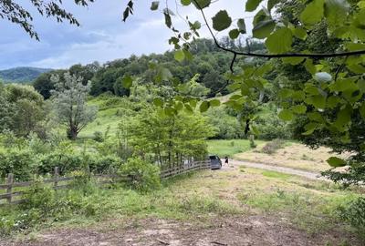 Teren de 3661 mp, în Vizantea Mănăstirească - 1