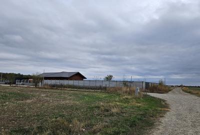Teren Construcții intravilan de 647 mp, în Snagov - 7