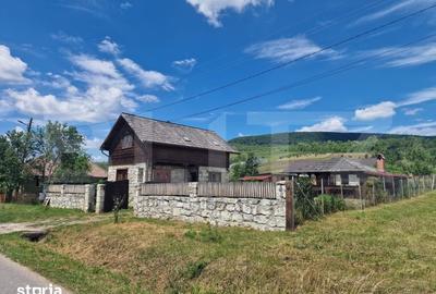 Casă cu 3 camere cu Teren 3300 Mp în Mihai Viteazu - 11