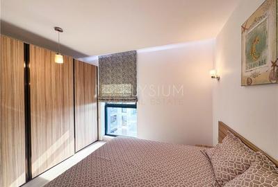 Apartament cu 2 camere semidecomandat, mobilat în Herăstrău - 13