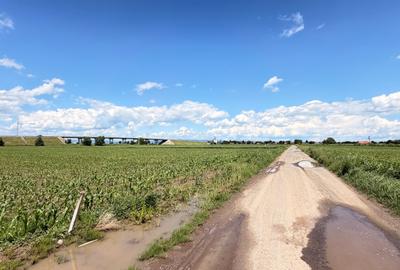 Teren agricol extravilan de 11671 mp, în Ozun - 6