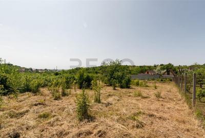 Teren de 1200 mp, în Paleu - 13