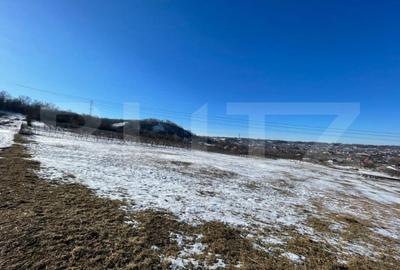 Teren de 9600 mp, în Rădășeni