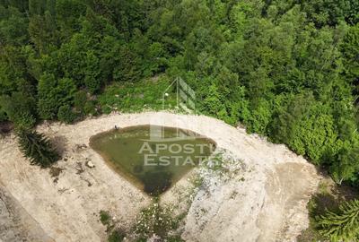 Teren Construcții extravilan de 18000 mp, în Exterior Sud - 40