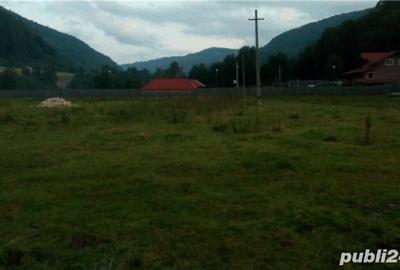 Teren de 2000 mp, în Rucăr - 4