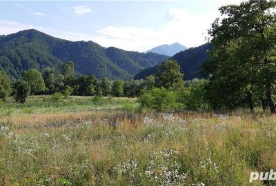 Teren de 4150 mp, în Drăgănești (Brezoi) - 7