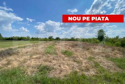 Teren în Moșnița Veche