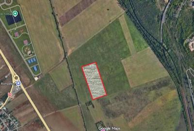 Teren intravilan de 20001 mp, în Vest - 11
