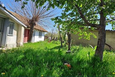 Casă cu Teren 6000 Mp în Pleșa
