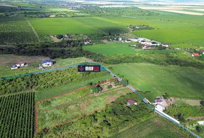 Teren Construcții intravilan de 5555 mp, în Urlați - 8
