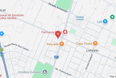 Spațiu comercial, de 153 mp, în Lipovei