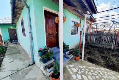 Casă cu 3 camere cu Canalizare în Primăverii - 1