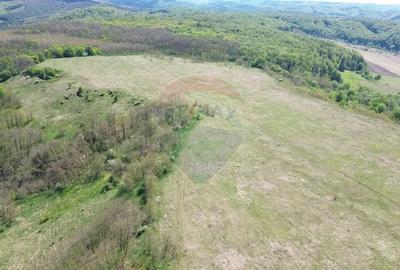 Teren de 659000 mp, în Copșa Mică - 11