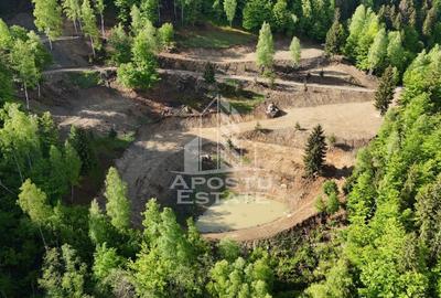 Teren Construcții extravilan de 18000 mp, în Exterior Sud - 8