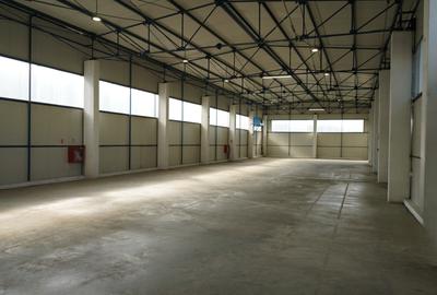 Spațiu industrial, de 785.32000732422 mp, în Someșeni - 2