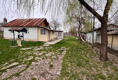 Casă cu 4 camere în Oveselu - 18