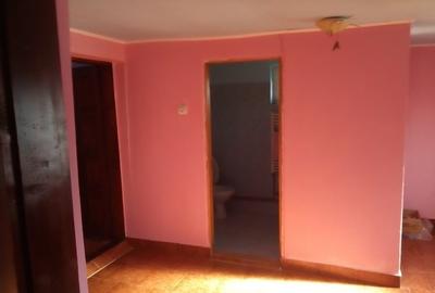 Casă cu 4 camere în Lunca Cetățuii - 2
