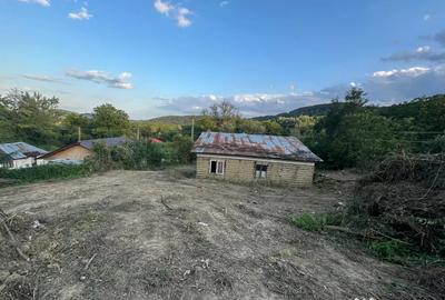 Casă cu 4 camere în Buștenari