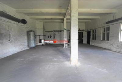 Spațiu comercial, de 1,500 mp, în Vașcău - 9