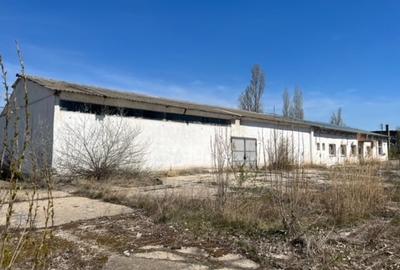 Spațiu industrial, de 10,000 mp, în Periferie - 3