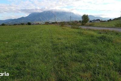 Teren de 2800 mp, în Central - 5