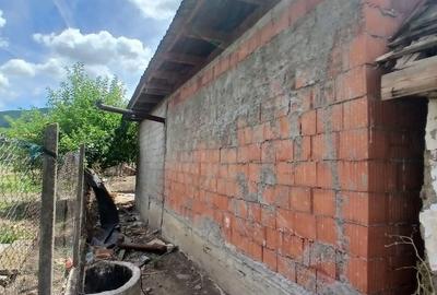Casă cu 2 camere în Șiria