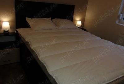 Apartament cu 3 camere decomandat în Drumul Sării - 1