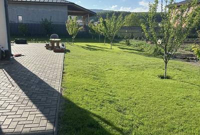 Casă cu 3 camere în Bujoreni - 1