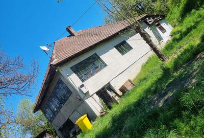 Casă cu 3 camere în Ilva Mică - 1