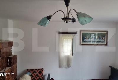 Spațiu comercial, în Scorțeni - 3