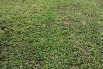 Casă în Căscioarele - 1