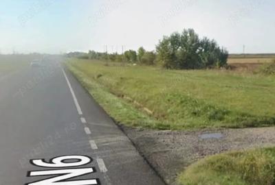 Teren de 10000 mp, în Izvin - 1
